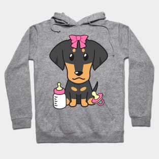 Cute dahshund is a baby - girl Hoodie